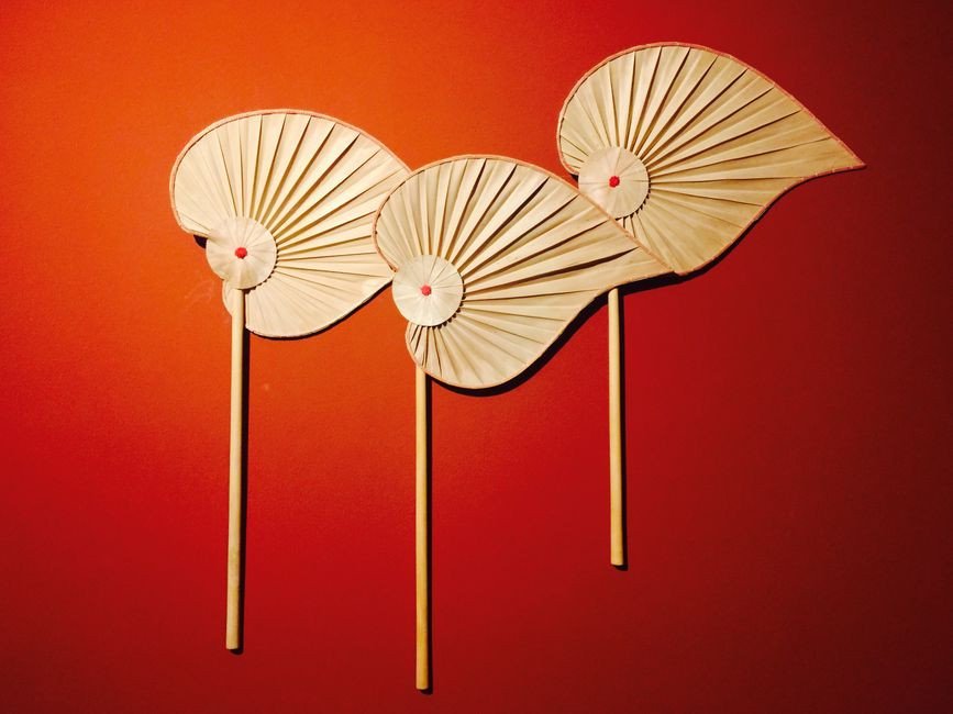 Deluxe Fans