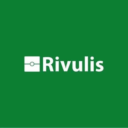 Rivulis