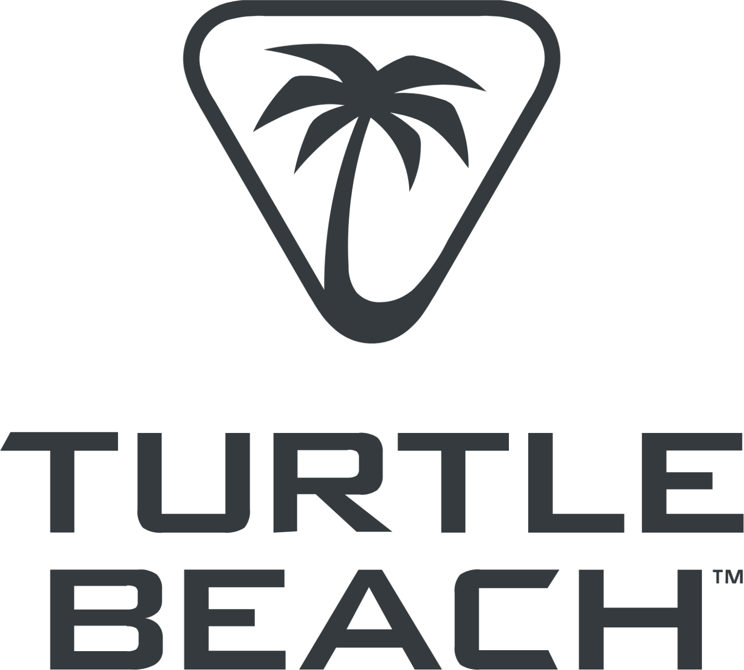 Turtle Beach