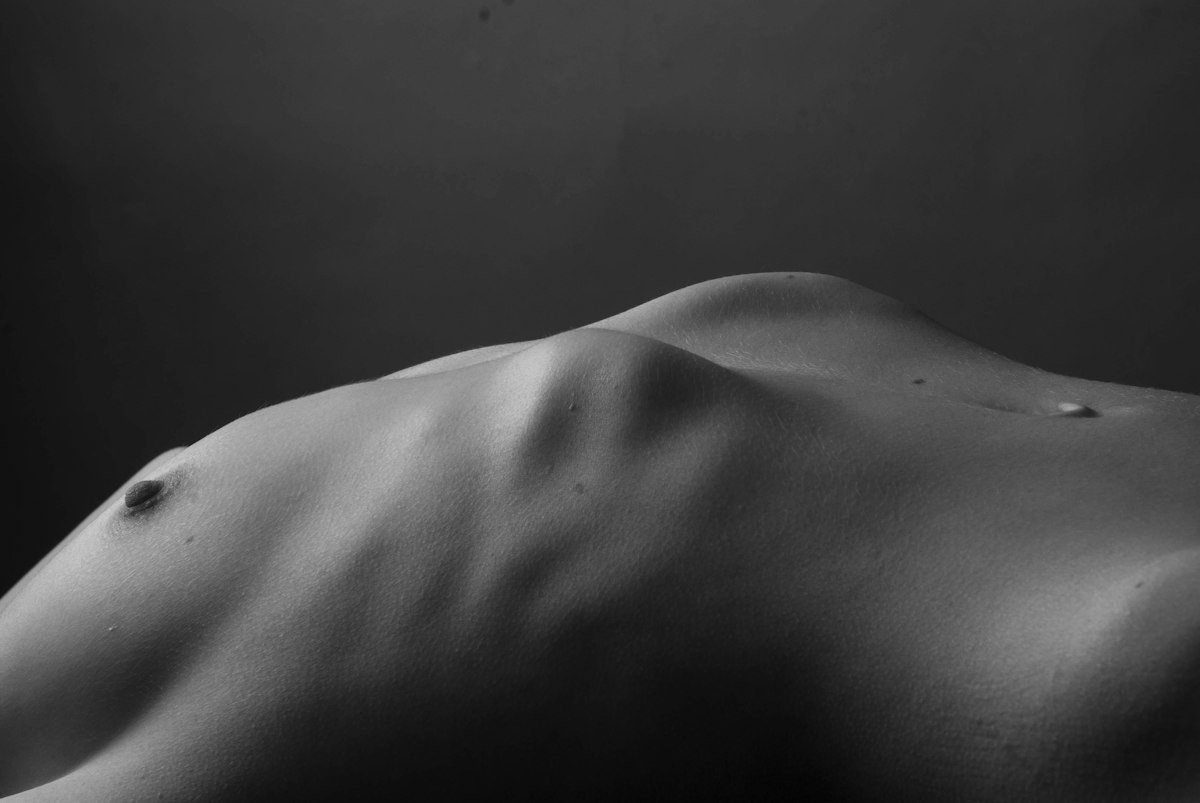 Special Bodies