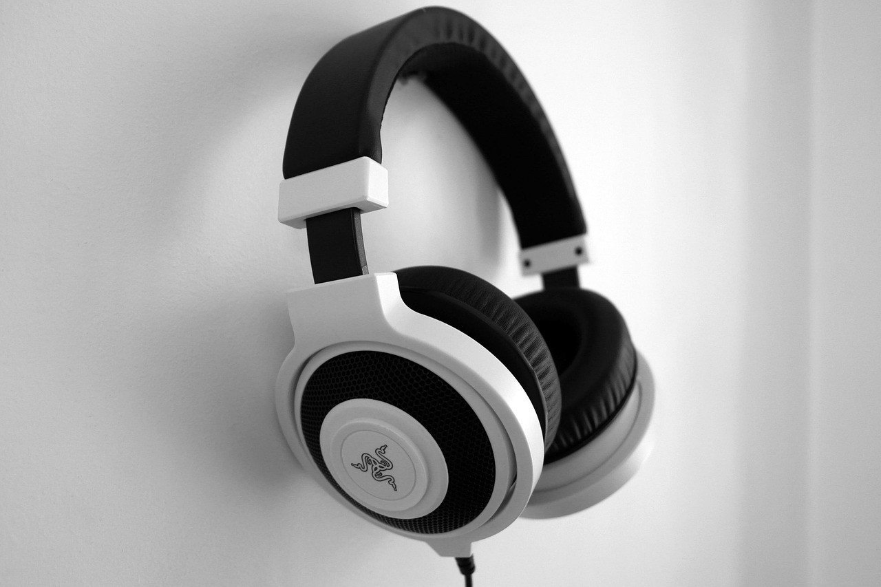 Elegant Headphones