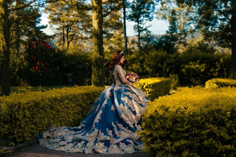 Royal Dresses