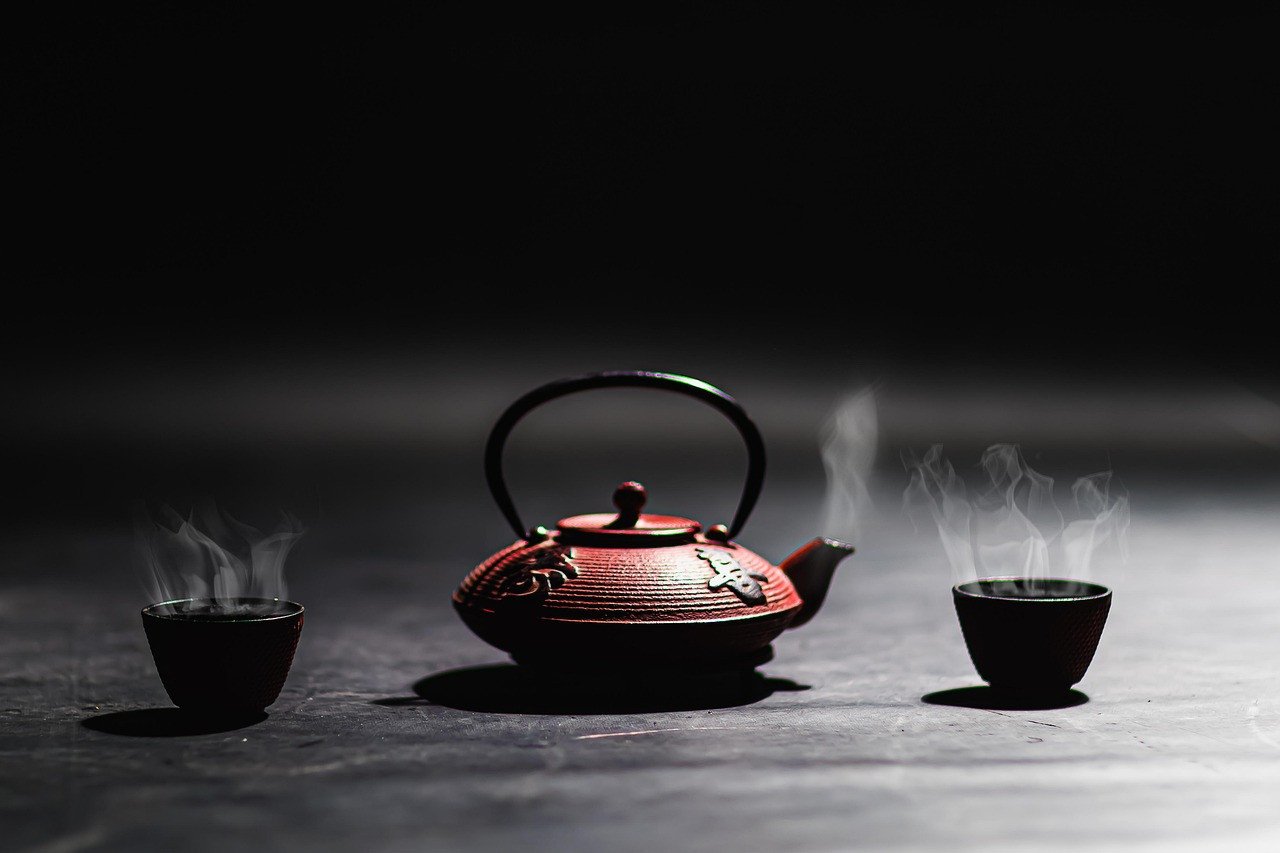 Elegant Steam Cleaners