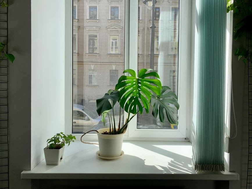 Deluxe Air Purifiers