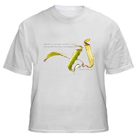 Original Polo Shirts